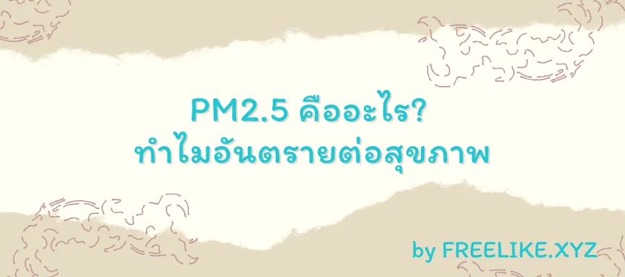 PM2.5 คืออะไร